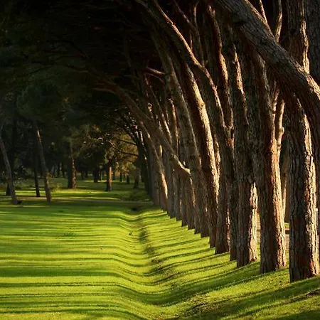 Park Plaza فاجانا