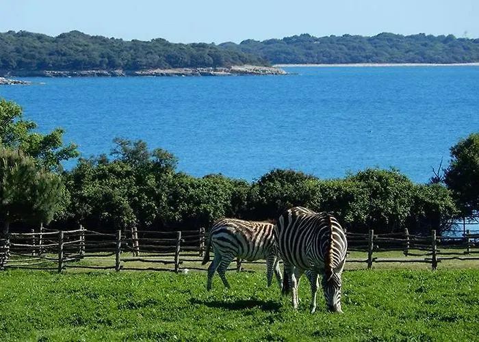 Appartement Park Plaza Fažana